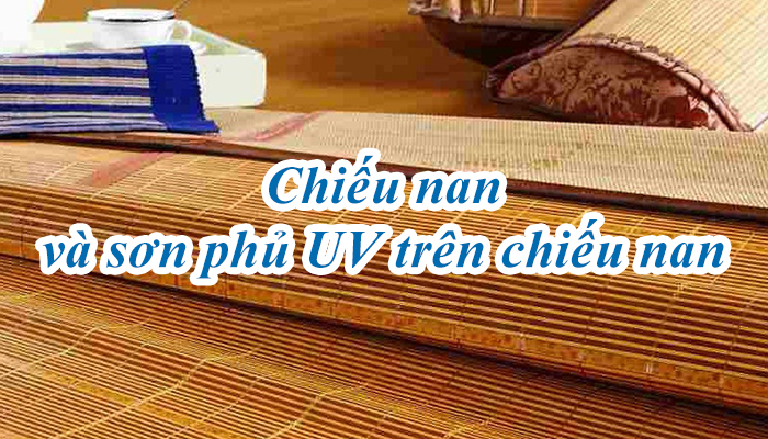 CHIẾU NAN VÀ SƠN PHỦ TRÊN CHIẾU NAN